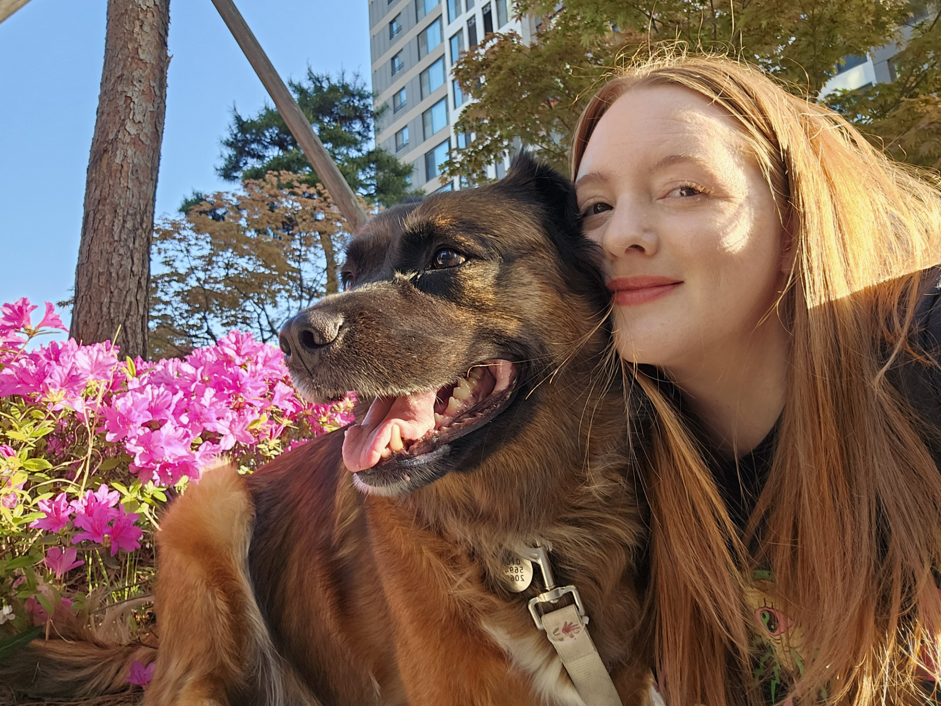 A picture of the founder, Anna Willoughby, snuggling her dog Fern in front of a flush of pink azaleas in bloom.